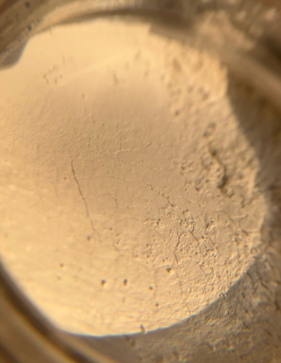 The Melasma Protocol